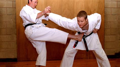 self-defense technique dojo review